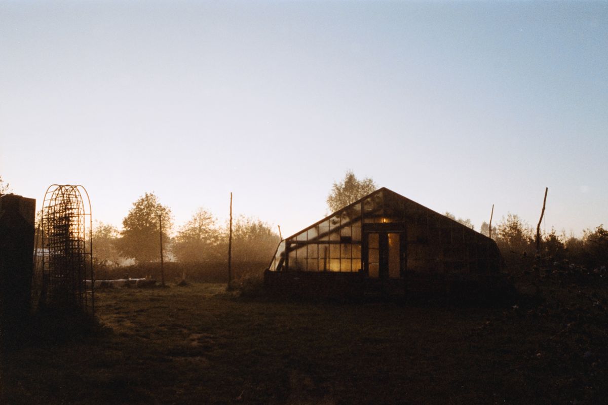A greenhouse in the mist at sunrise.
