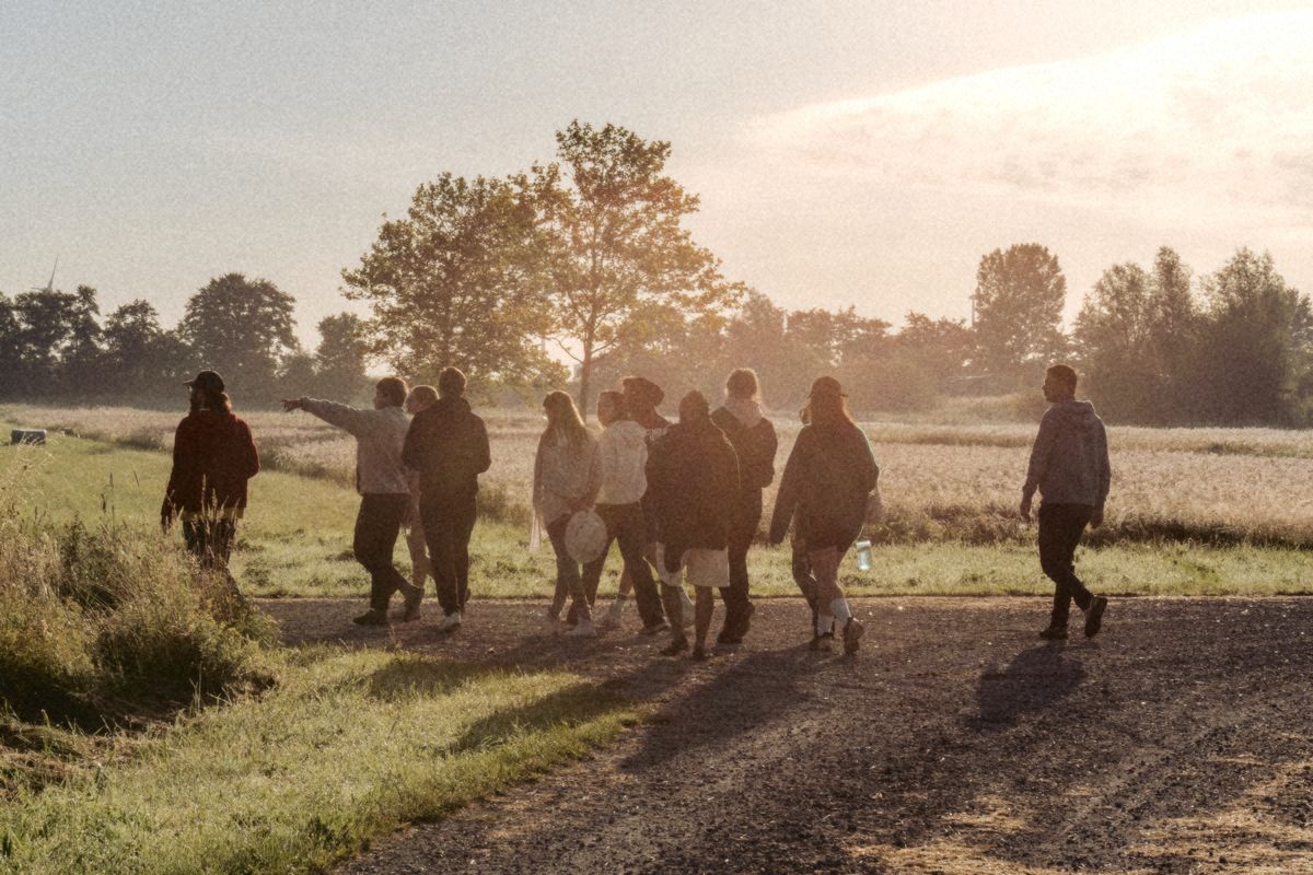 A group walking along a farm track towards the trees in early sunlight.